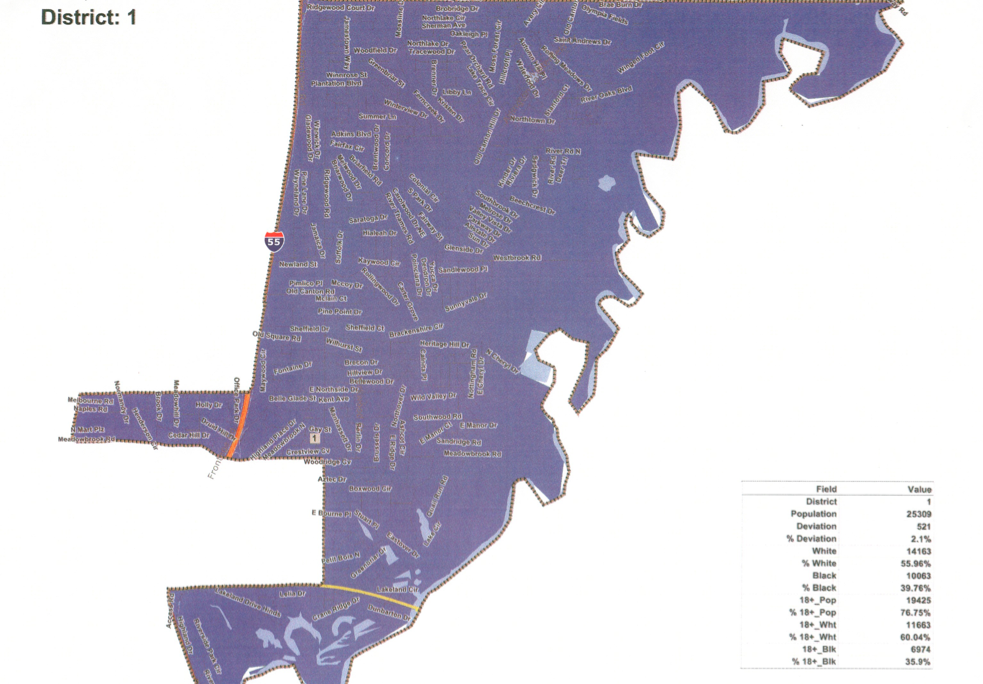 Redistricting Option 1