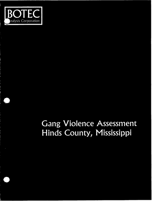 Gang Violence Assessment: Hinds County, Mississippi