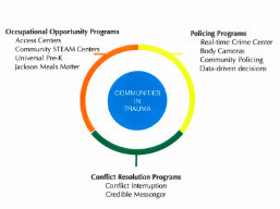 Comprehensive Efforts to Reduce Crime