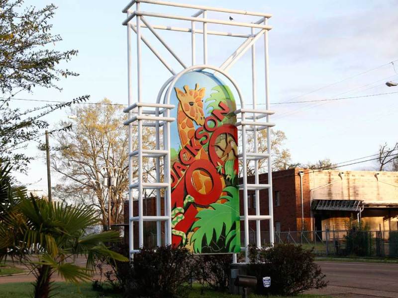 A colorful sign for the Jackson Zoo showing a giraffe behind the text
