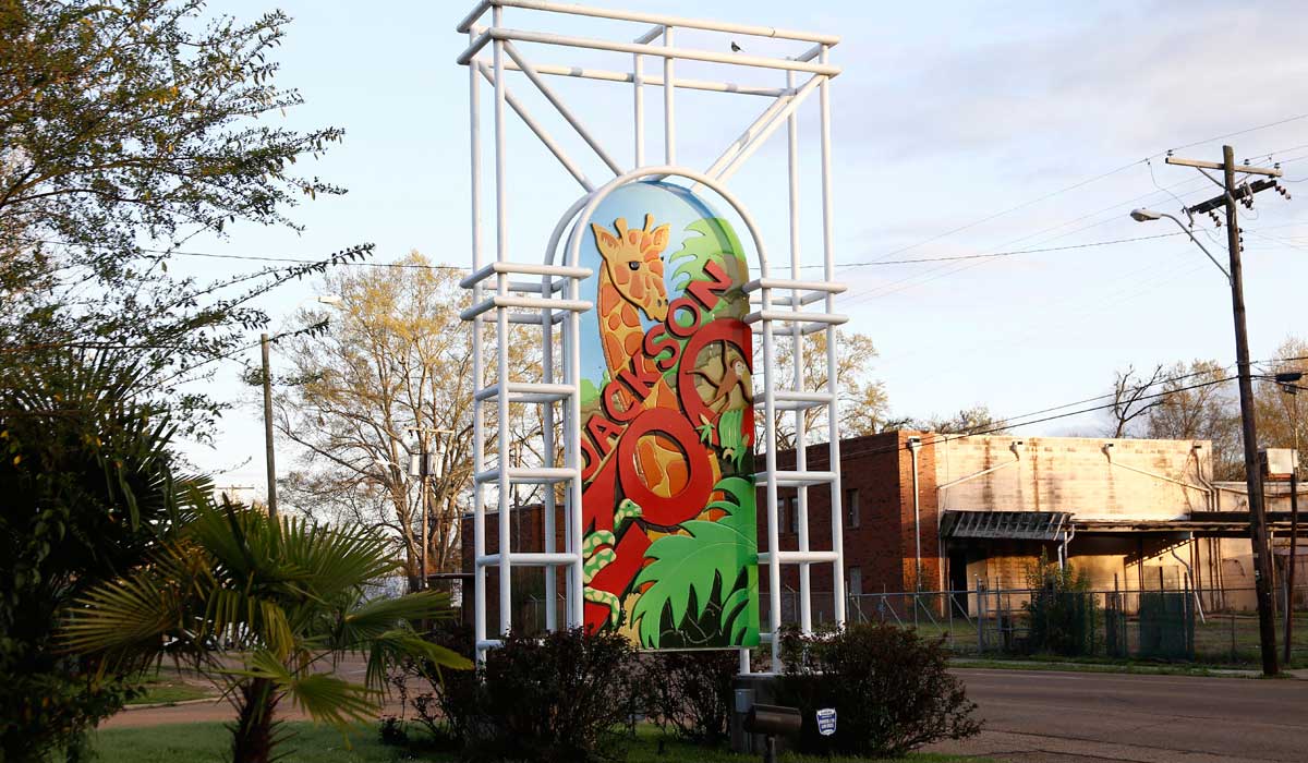 A colorful sign for the Jackson Zoo showing a giraffe behind the text