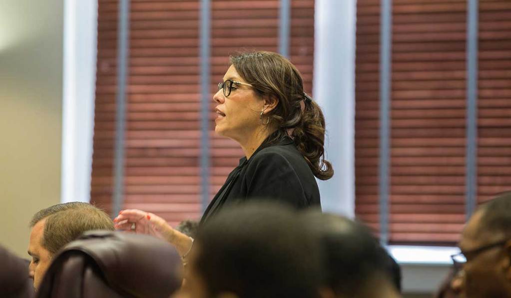 Paula Vanderford seen standing up and speaking at a meeting