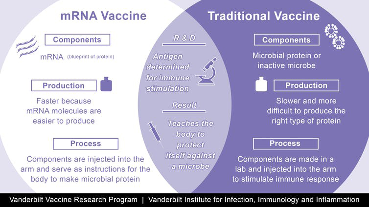 graphic explaining the difference between mRNA and traditional vaccines