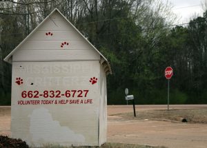 Photo of doghouse outside animal shelter in Oxford with name of ousted nonprofit Mississippi Critterz painted over by white paint