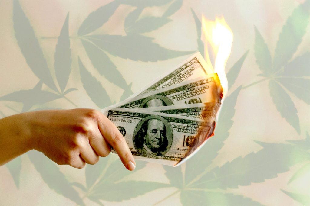Hand holding 4 one hundred dollar bills that are on fire in front of a background of marijuana leaves