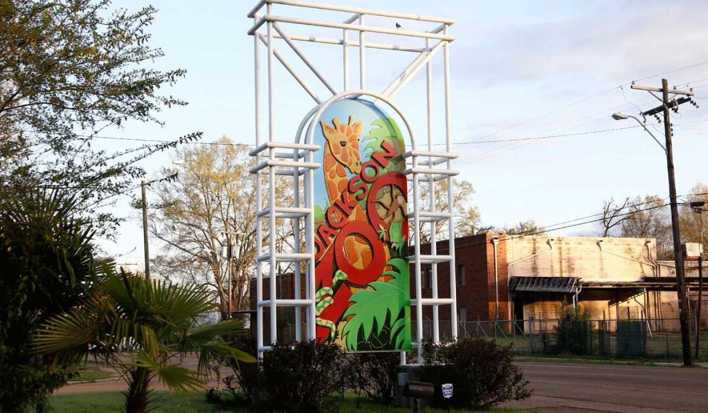 A colorful sign with a depiction of a giraffe and reads Jackson Zoo