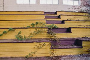 A photo of old yellow and maroon stairs with vines growing on them