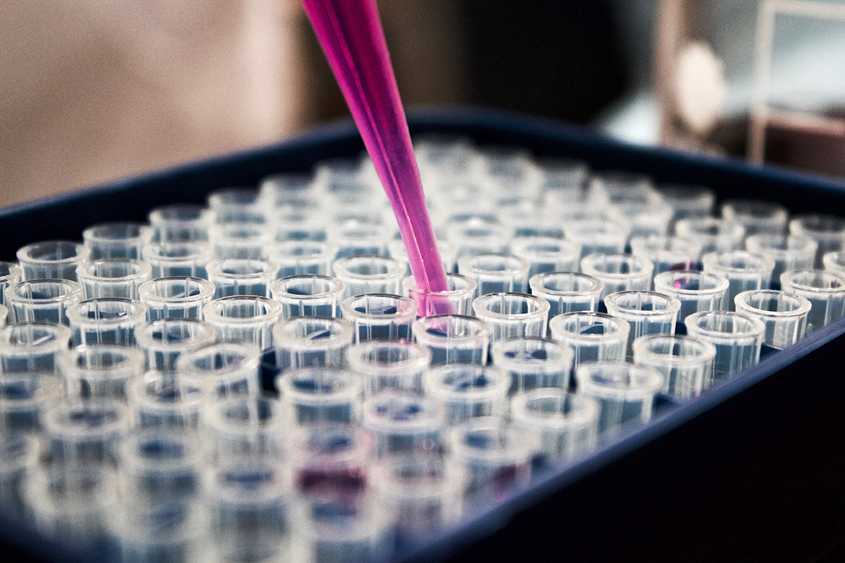 Purple pipette doing sample work in a lab