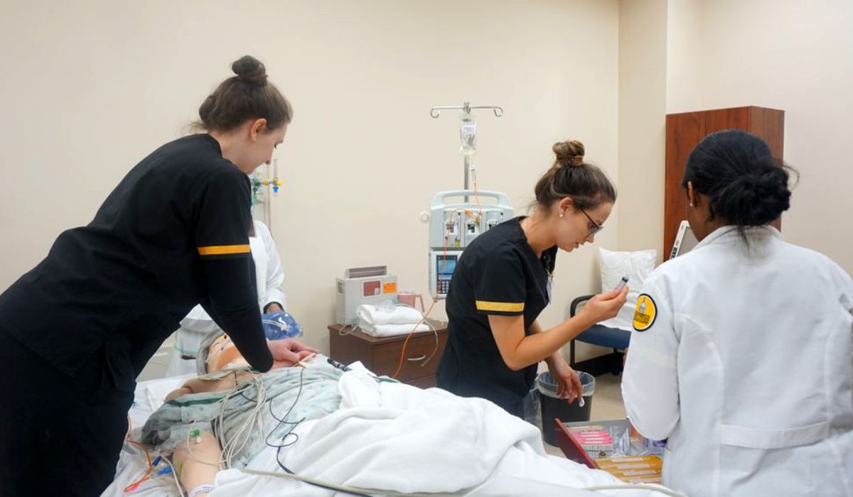 Usm Training USM Merit Health Partnership, JSU Carnegie Classification and MSU
