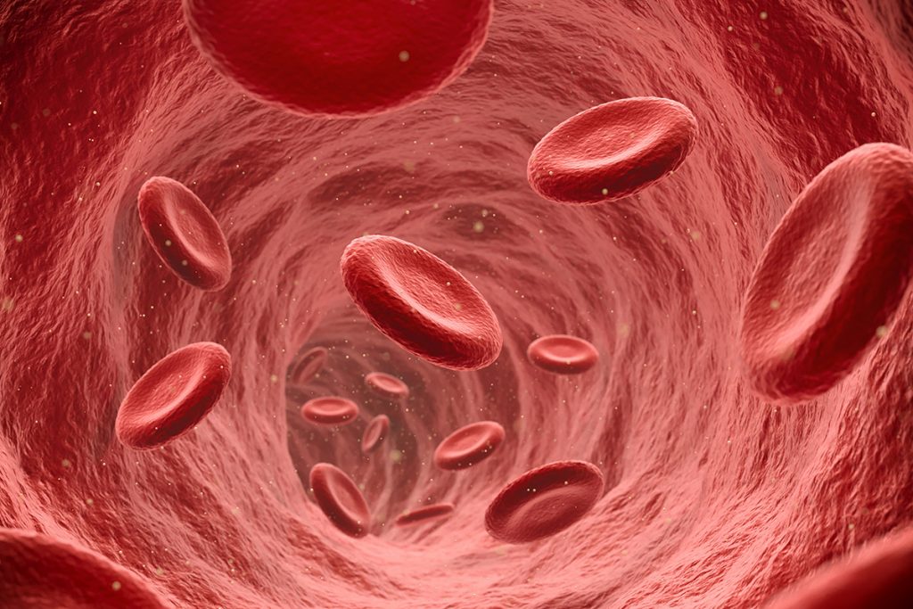 rendering of blood cells traveling in a vein