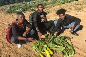 One Crop At A Time: School Farms Target Food Insecurity, ‘Supermarket Redlining’