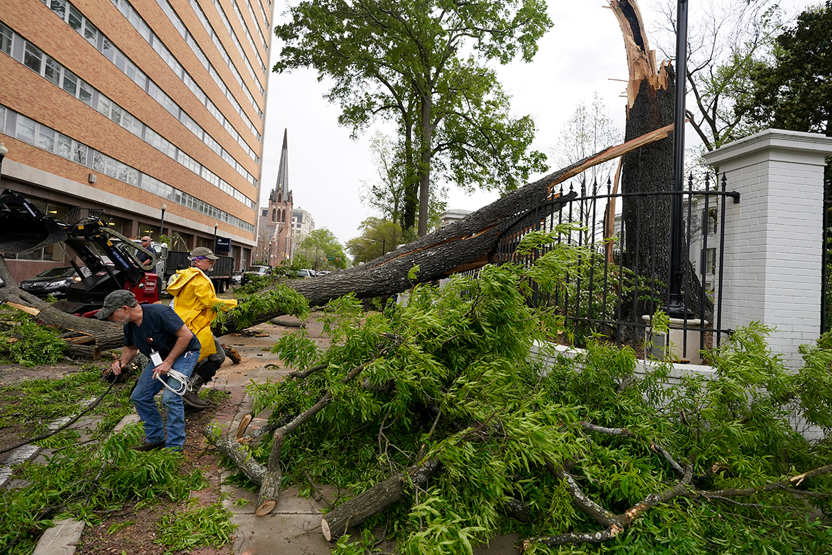Two men work on the ground to cut a fallen tree in the road