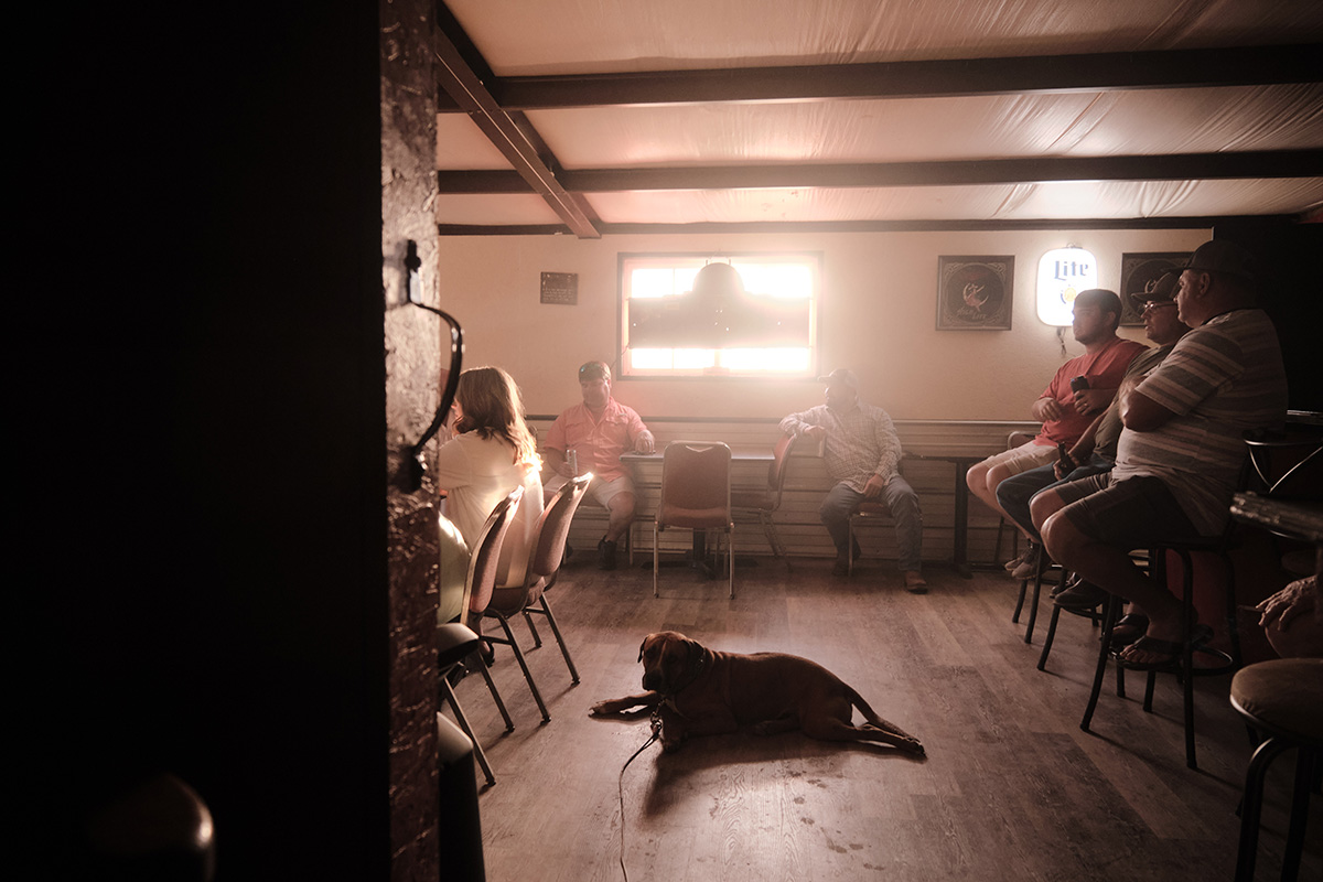 A view through a doorway of people in chairs and a dog in the center, all lit by sunlight