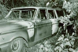 A burned car found in a swamp