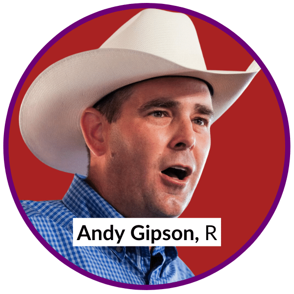 Andy Gipson, Republican