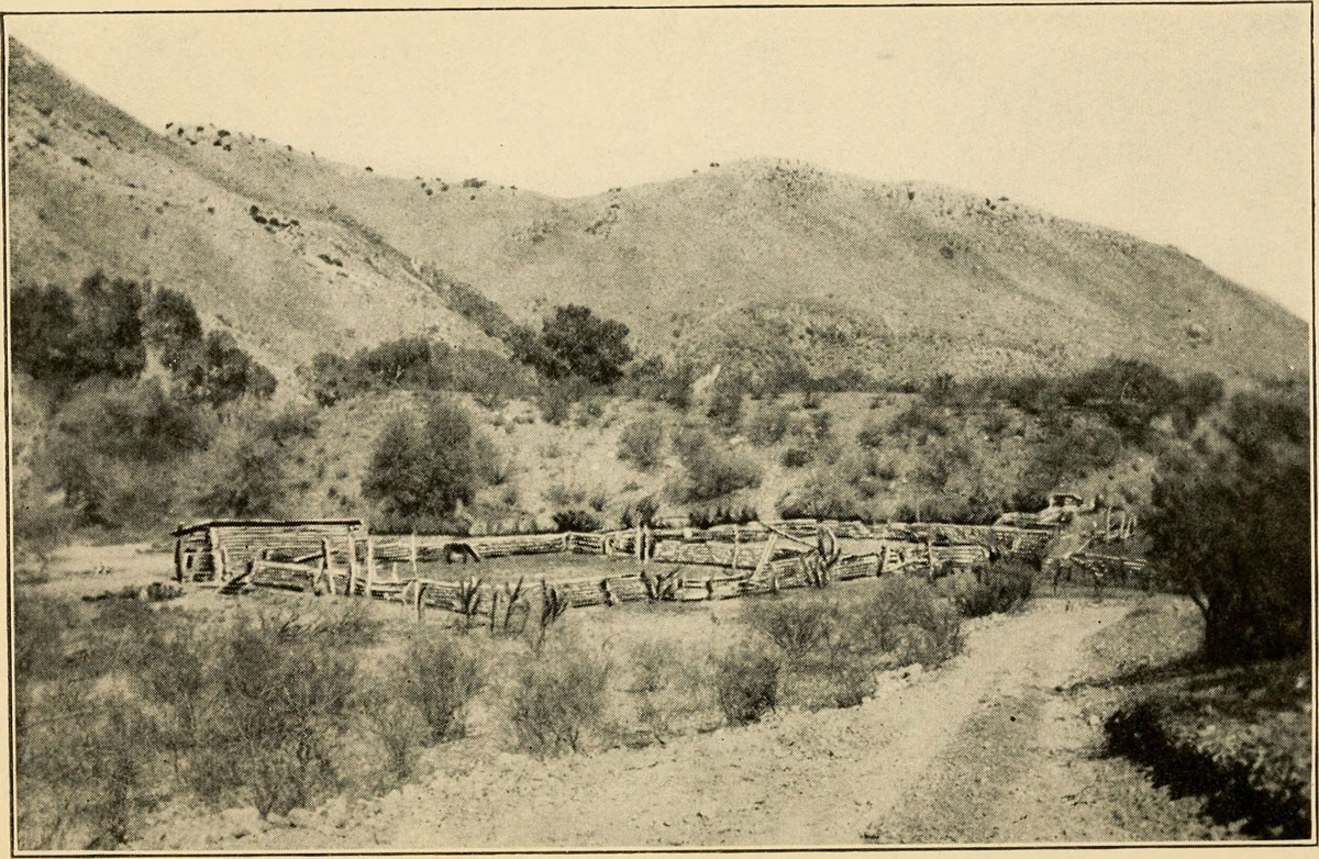 An old photo of a simple fence on a ranch in hilly terrain