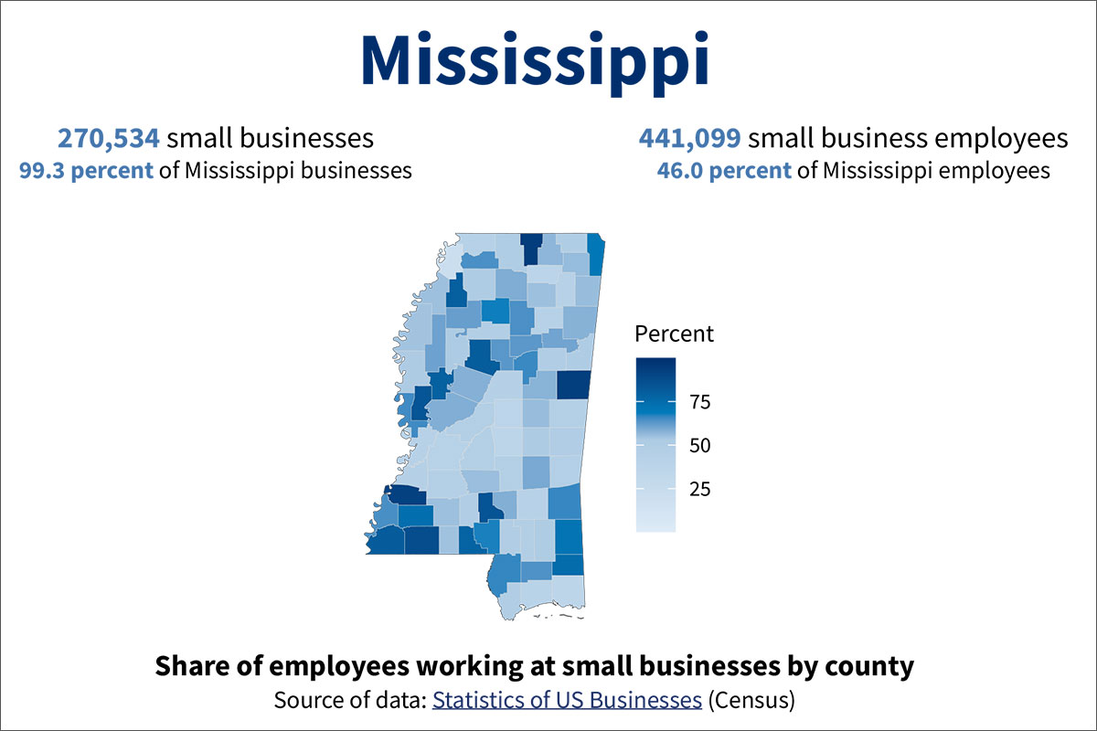 Mississippi Small Business Economic Profile