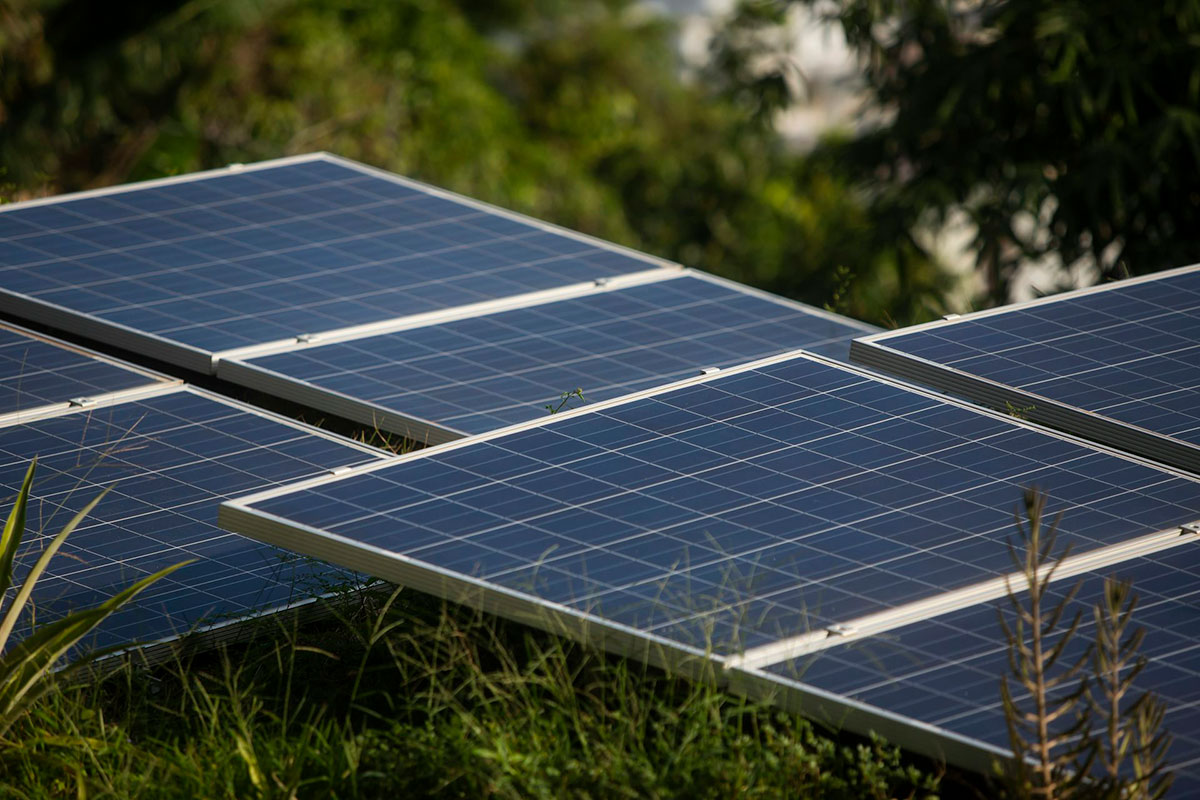 Flat solar panels rest slightly off the ground, greenery peeking from underneath and behind