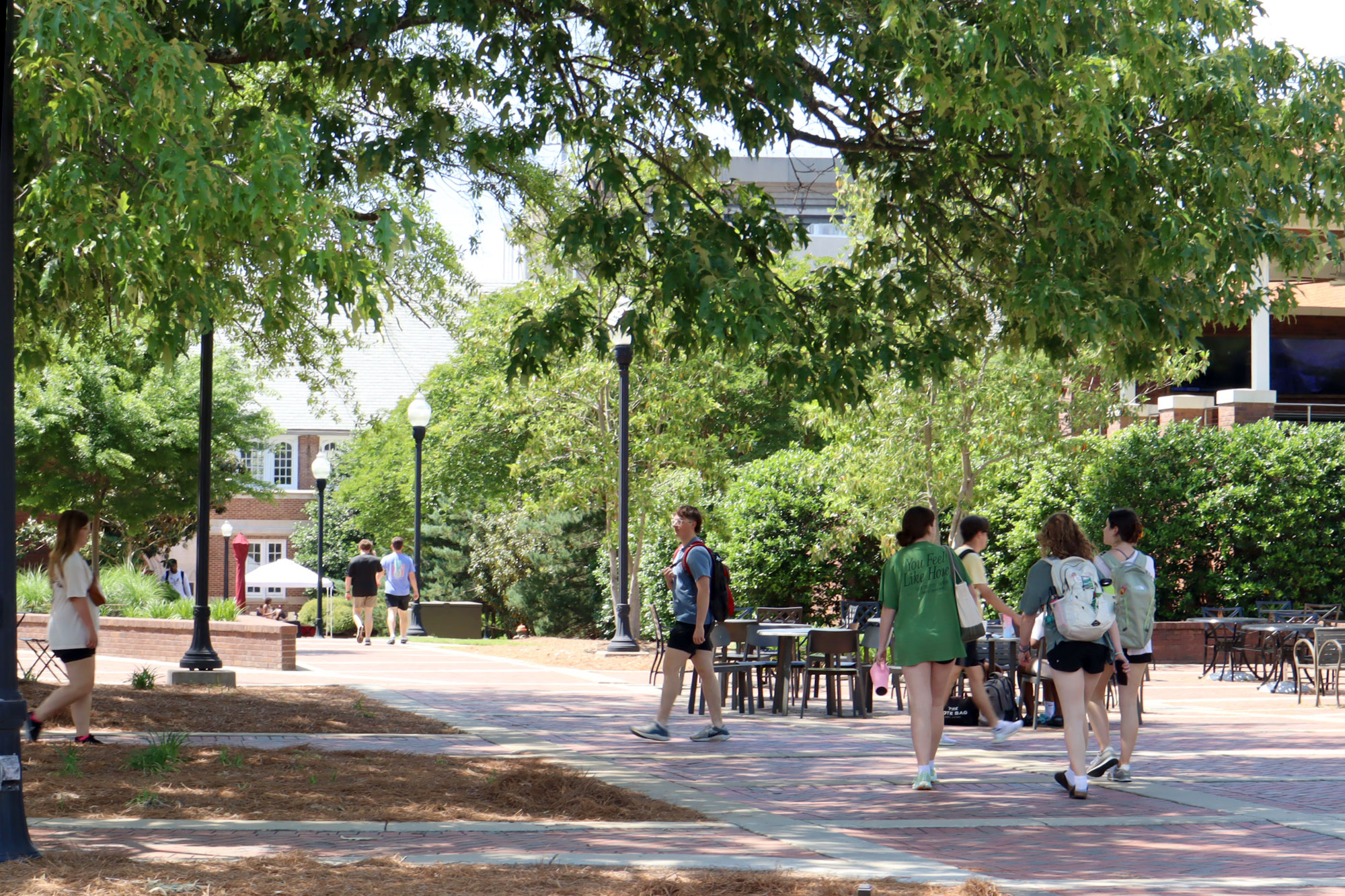 Several students walking outside on a college campus