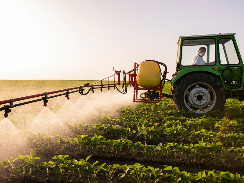 A person is operating a green tractor, spraying soy bean crops