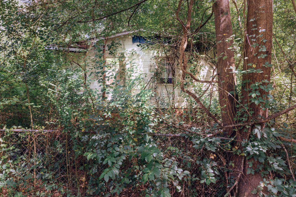 A white house in disrepair is seen peaking through a fully overgrown yard