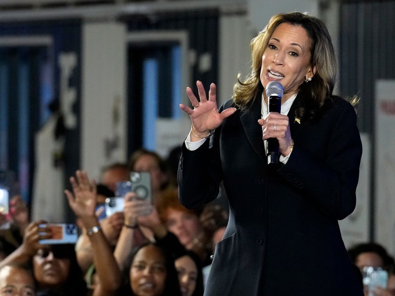 Vice President Kamala Harris speaks at a watch party