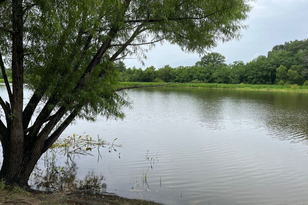 A lake surrounded by green grass and trees