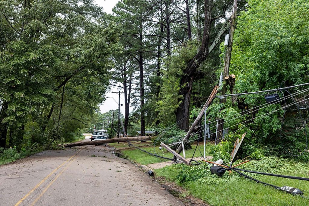 A fallen tree stops traffic on a road, and power poles are seen snapped along the edge