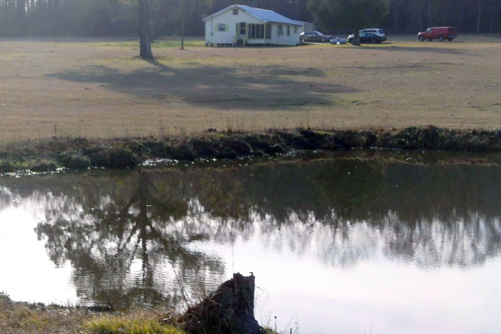 A white house is visible in the distance past a small pond and open green lawn