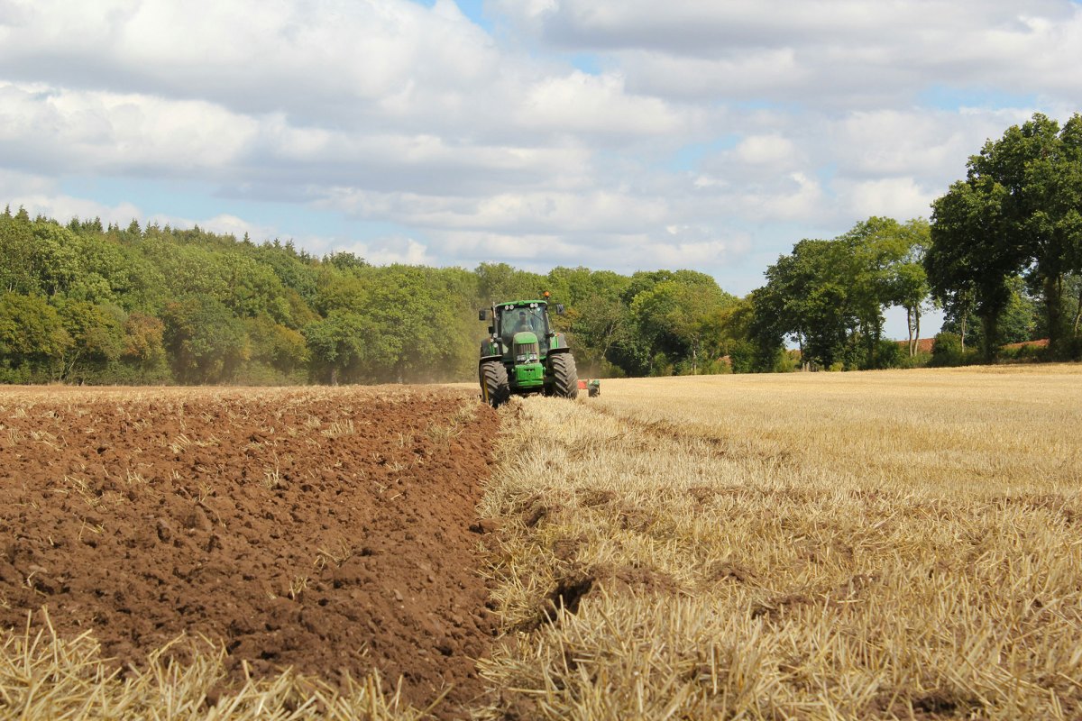A green tractor tills a field and exposes fresh dirt