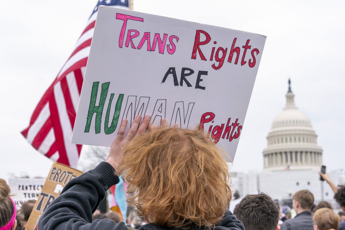 A view of a crowd holding signs with the US Capitol in the background. The sign in the foreground reads Trans Rights are Human Rights