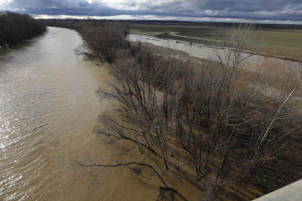 A river floods over past the tree line