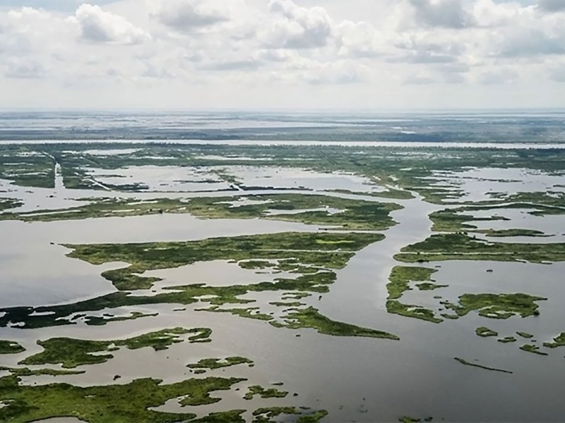 Land covered in waterways at the end of the Mississippi River