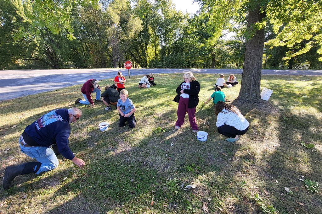 A group of adults and children gather acorns under a tree