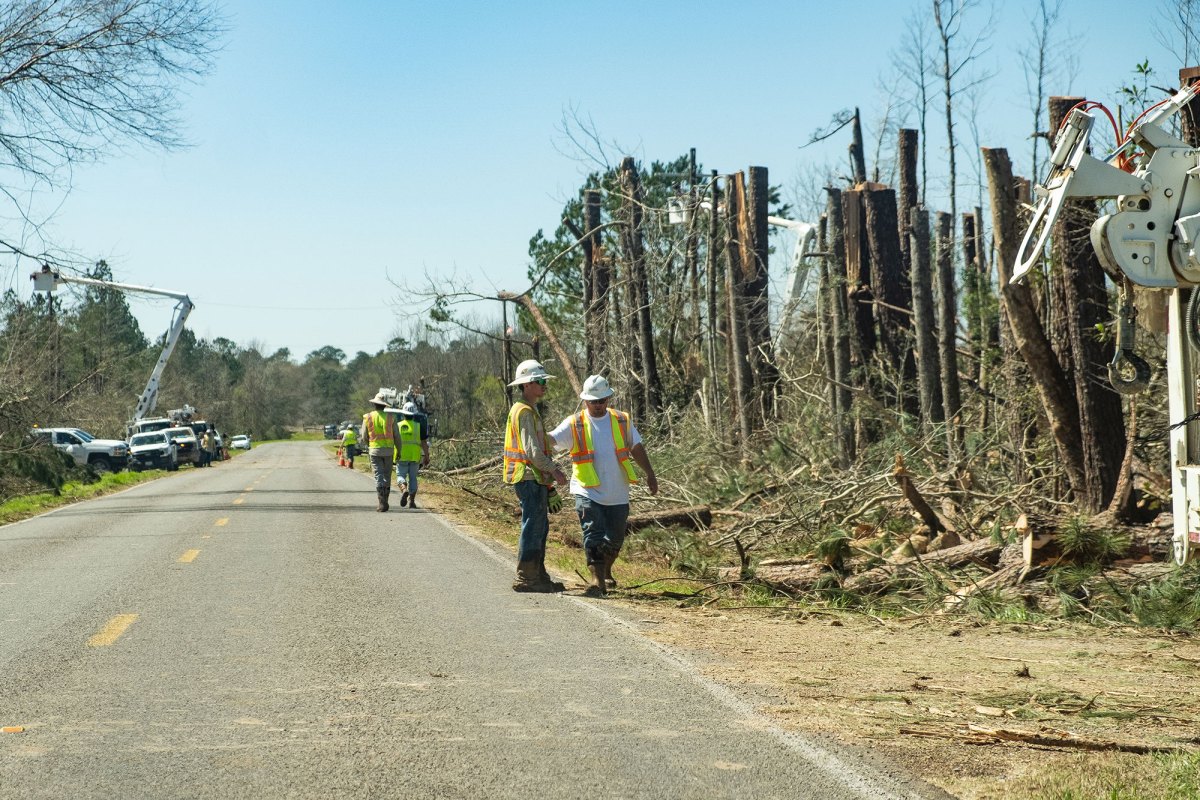 Men with hard hats and work vest walking down a road with half cut trees next to it.