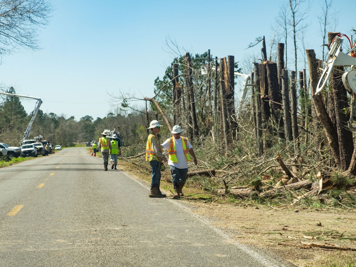 Men with hard hats and work vest walking down a road with half cut trees next to it.