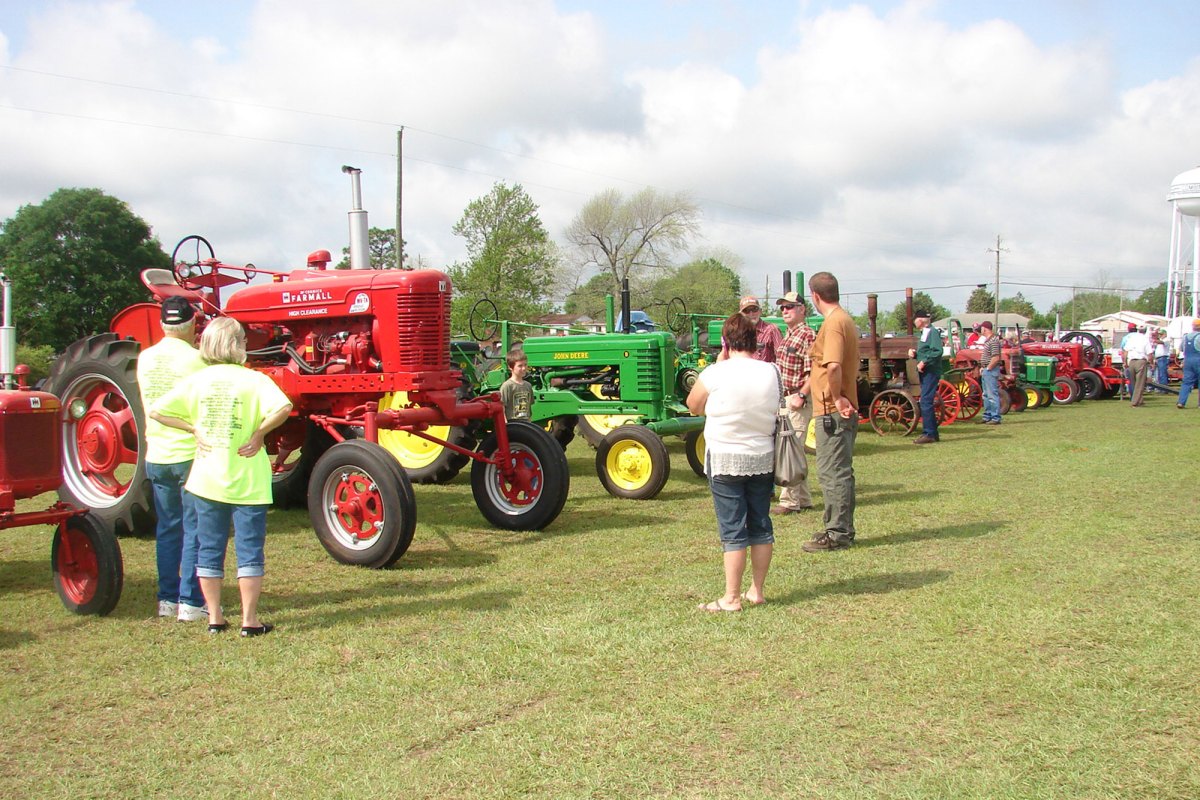 Men and women walking around to view red and green old school tractors.