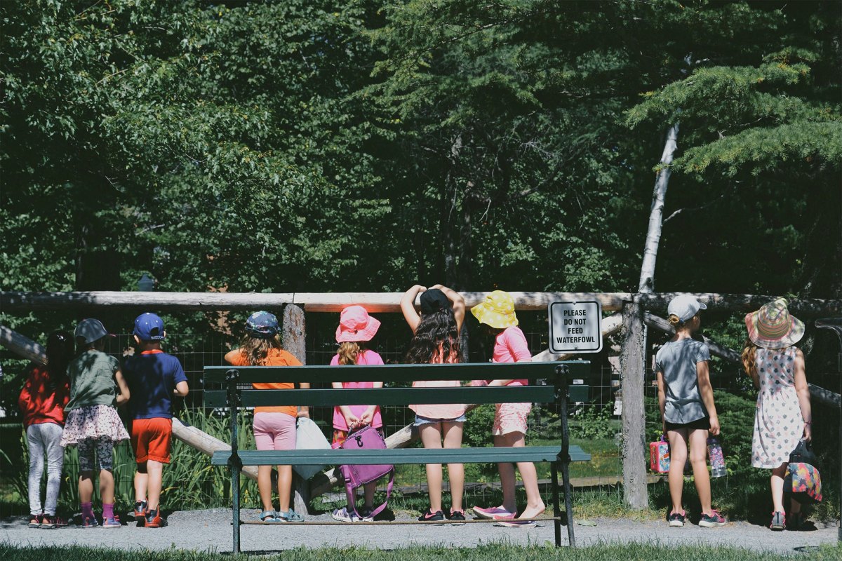 Kids standing in front of a fence at a zoo wearing hats