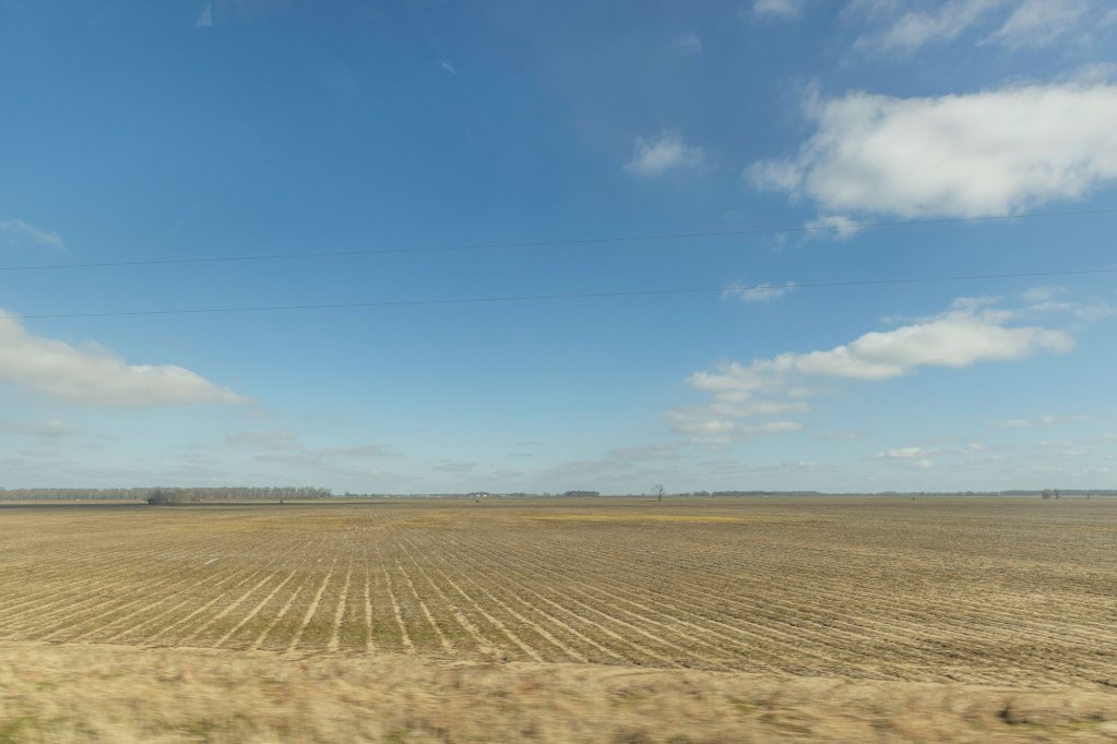 A brown field and blue sky in the delta of Mississippi