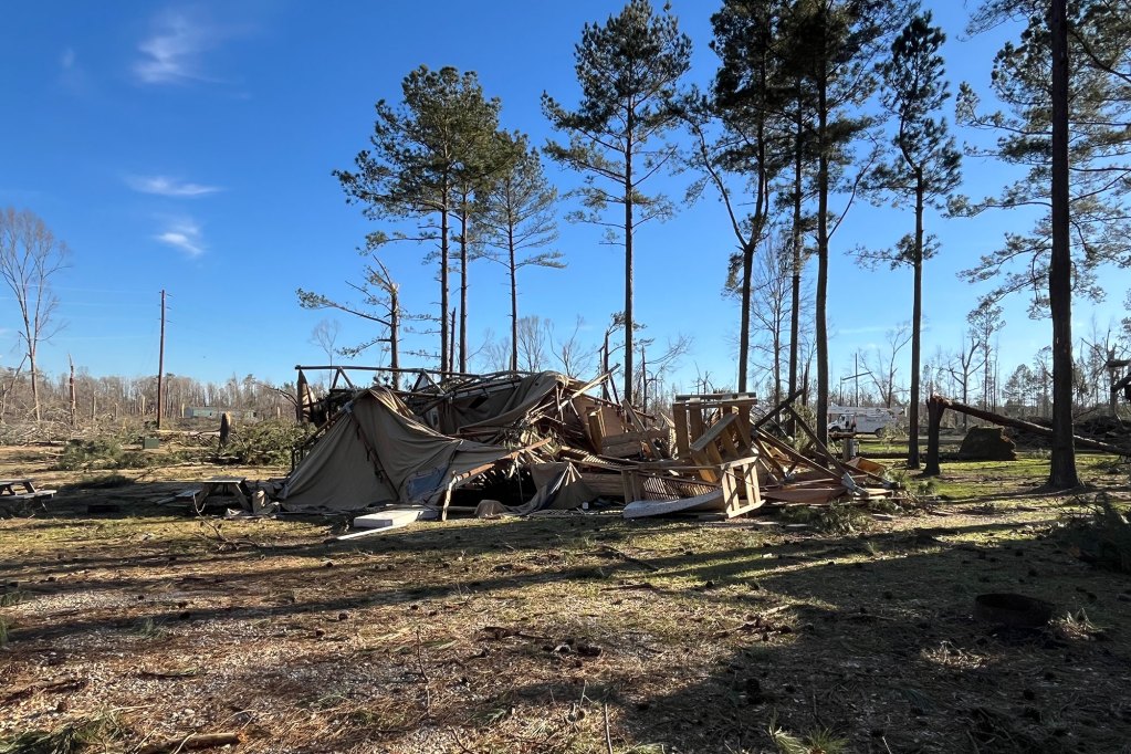 A photo of a pile of brown broken wood in an open field with tall trees behind it.