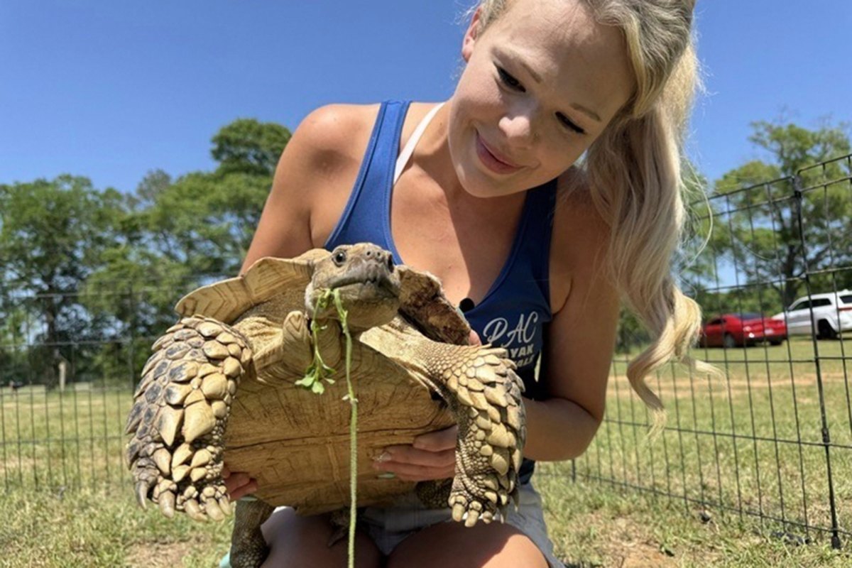 A woman with blonde hair and wearing a blue shirt holds a large tortoise in her hand