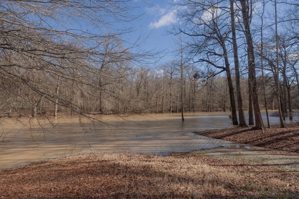 Brown grass and brown water sits in the foreground with blue sky in the background