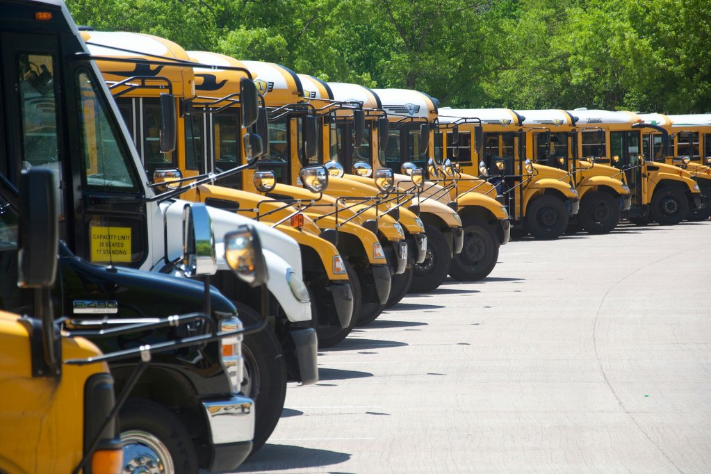 Yellow buses lined up a row on a parking lot with white bus in the bunch