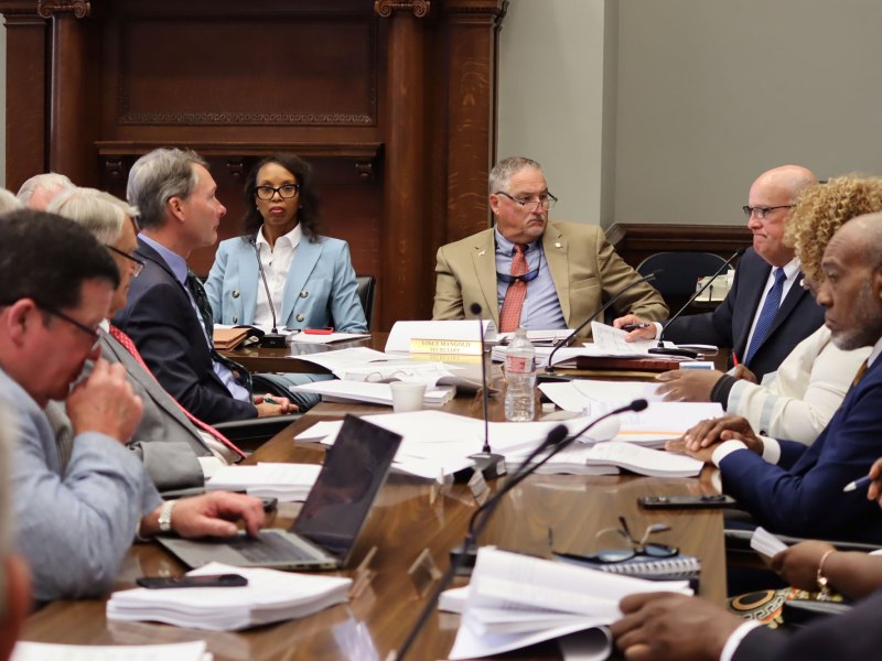 A committee of people sit around a senate meeting table