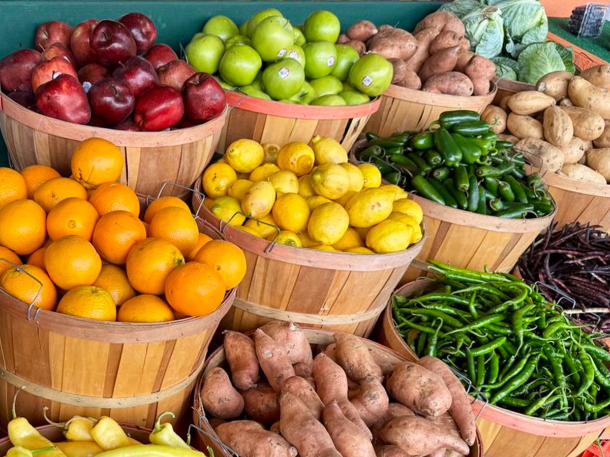 Virtual Circle Outcomes: Access to Healthy Foods