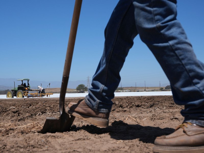 A view of a farm worker's legs as they shovel the dirt