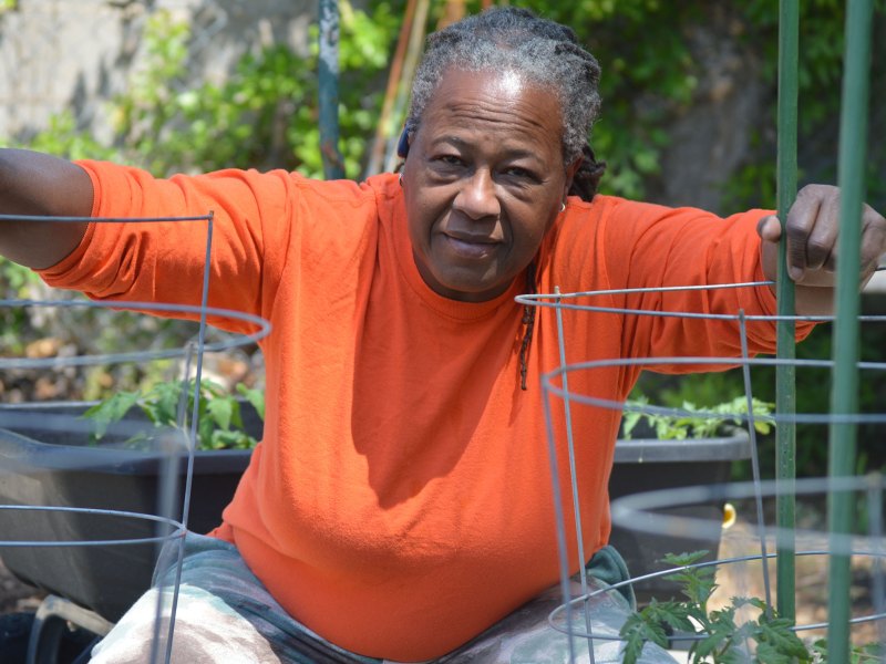 A woman in a bright orange shirt leans down beside two caged tomato plants