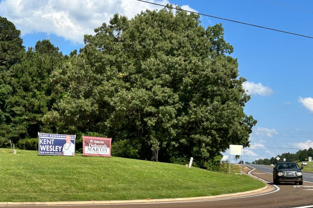 Two campaign signs sit side by side on a small hill by the roadside.