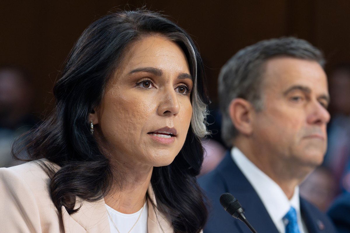 Tulsi Gabbard in the foreground at a hearing