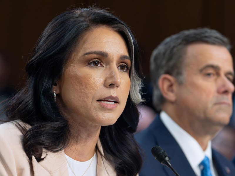 Tulsi Gabbard in the foreground at a hearing